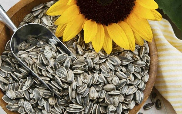 Semillas de girasol - Imagen 2